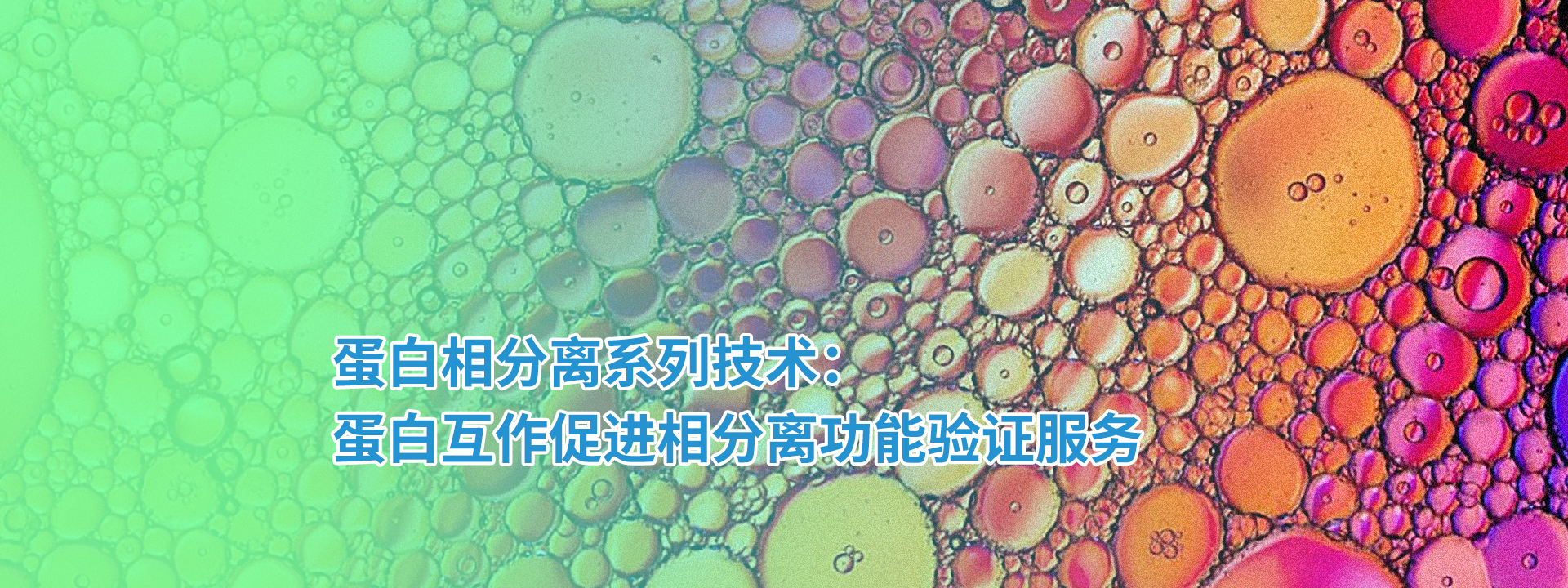 广州表观生物科技有限公司-69-12轮播图