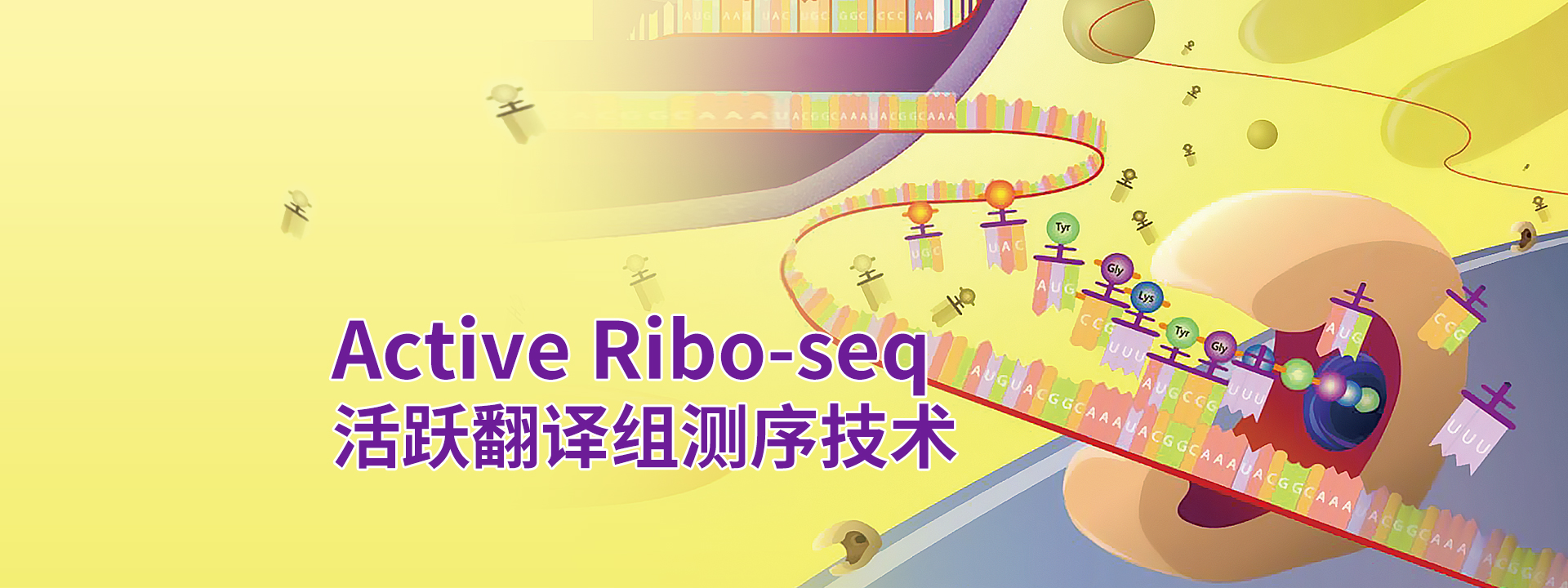 广州表观生物科技有限公司-69-8轮播图