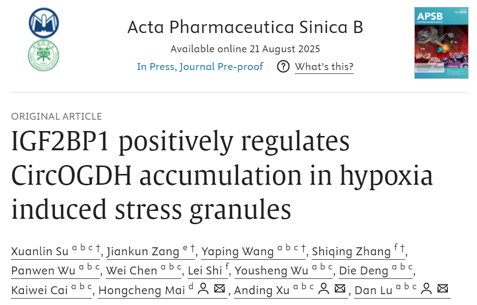 客户文章 | APSB (IF 14.6)：暨南大学附一徐安定/逯丹教授团队在缺血半暗带治疗新靶点又一突破图