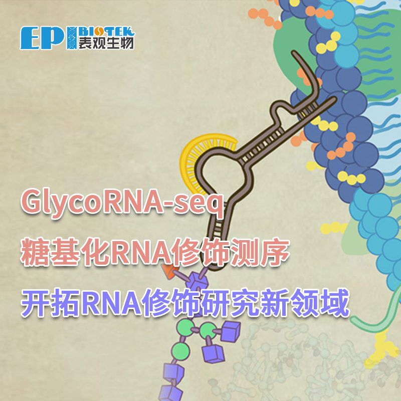 GlycoRNA-seq：Detection of cell surface glycoRNA