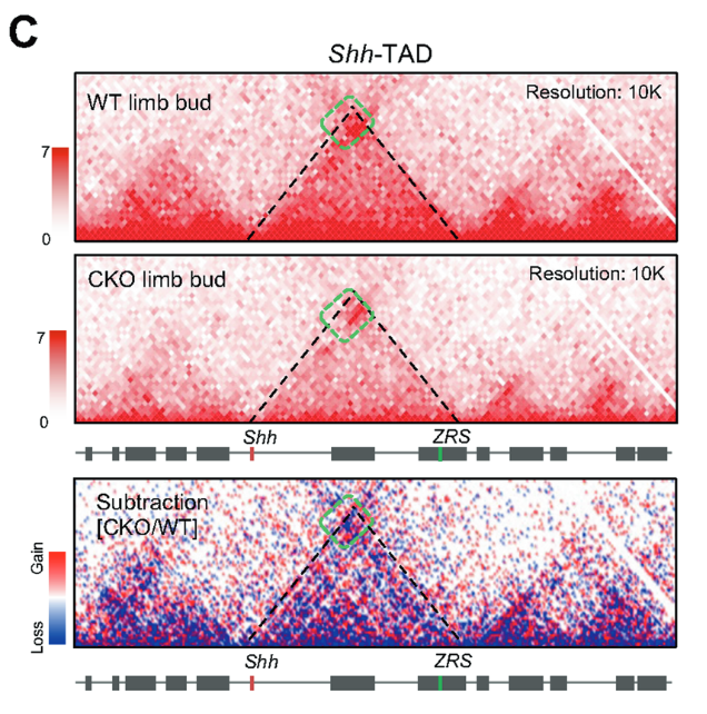广州表观生物科技有限公司