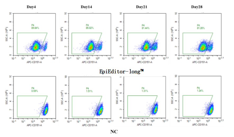 广州表观生物科技有限公司