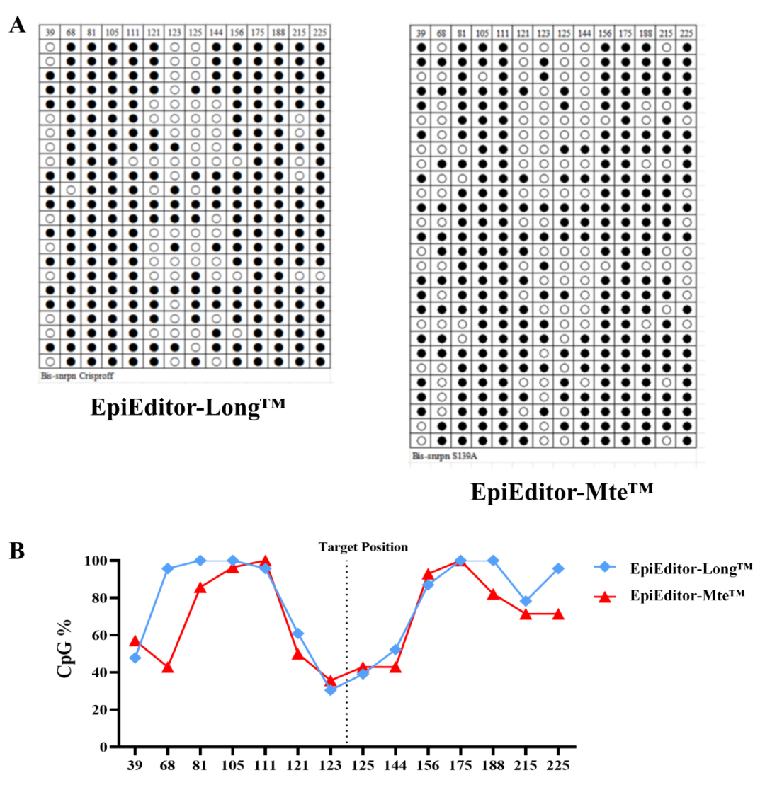 EpiEditor-Mte™与EpiEditor-long™在修饰范围上的区别：