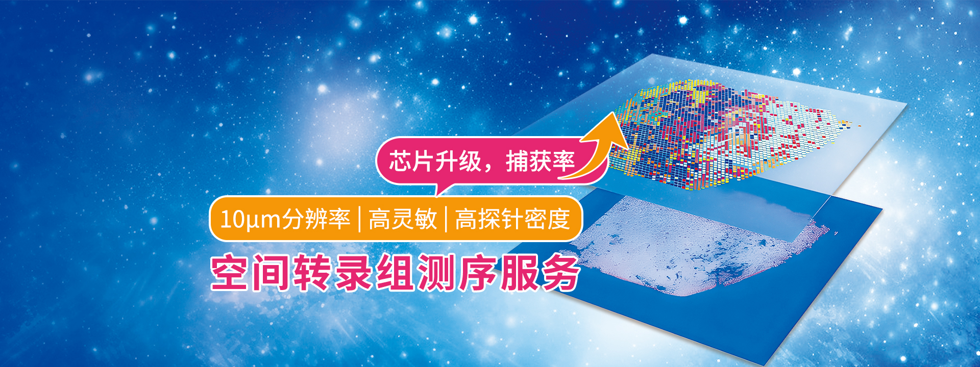 广州表观生物科技有限公司-69-3轮播图