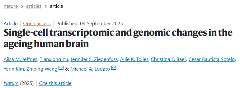 Nature | 大脑如何变老？基因组-转录组变化洞察人脑衰老的演化图