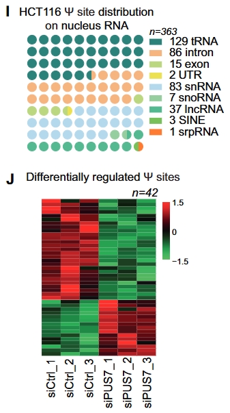 广州表观生物科技有限公司