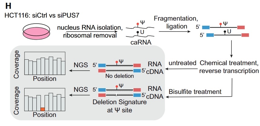 广州表观生物科技有限公司