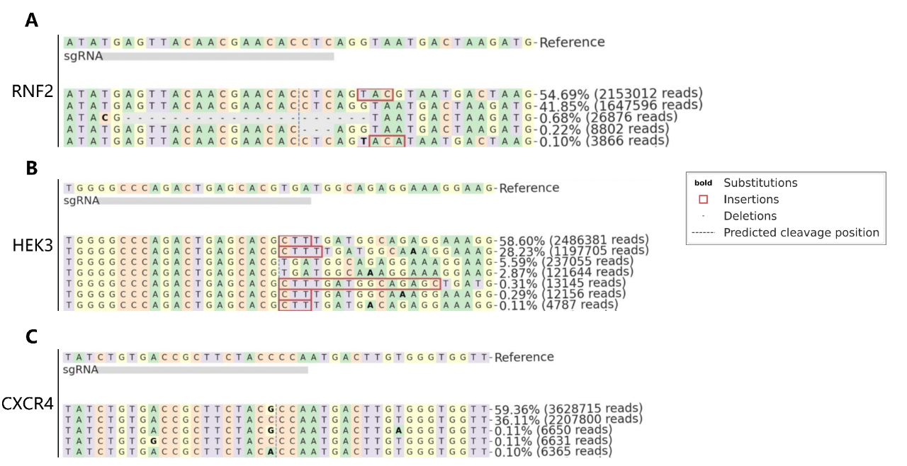 Epi™ PEmax实测数据