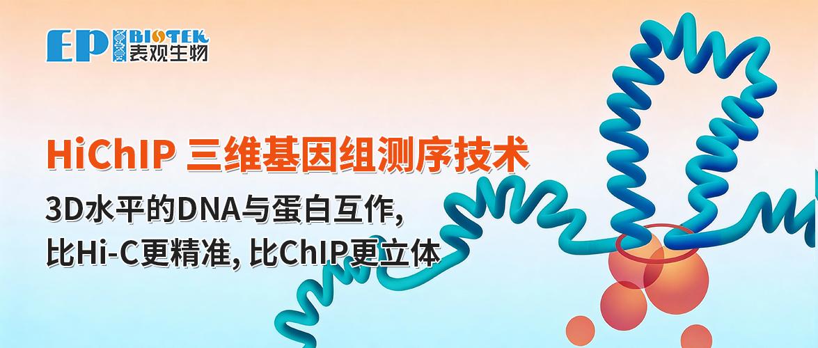 HiChIP染色质构象测序技术图
