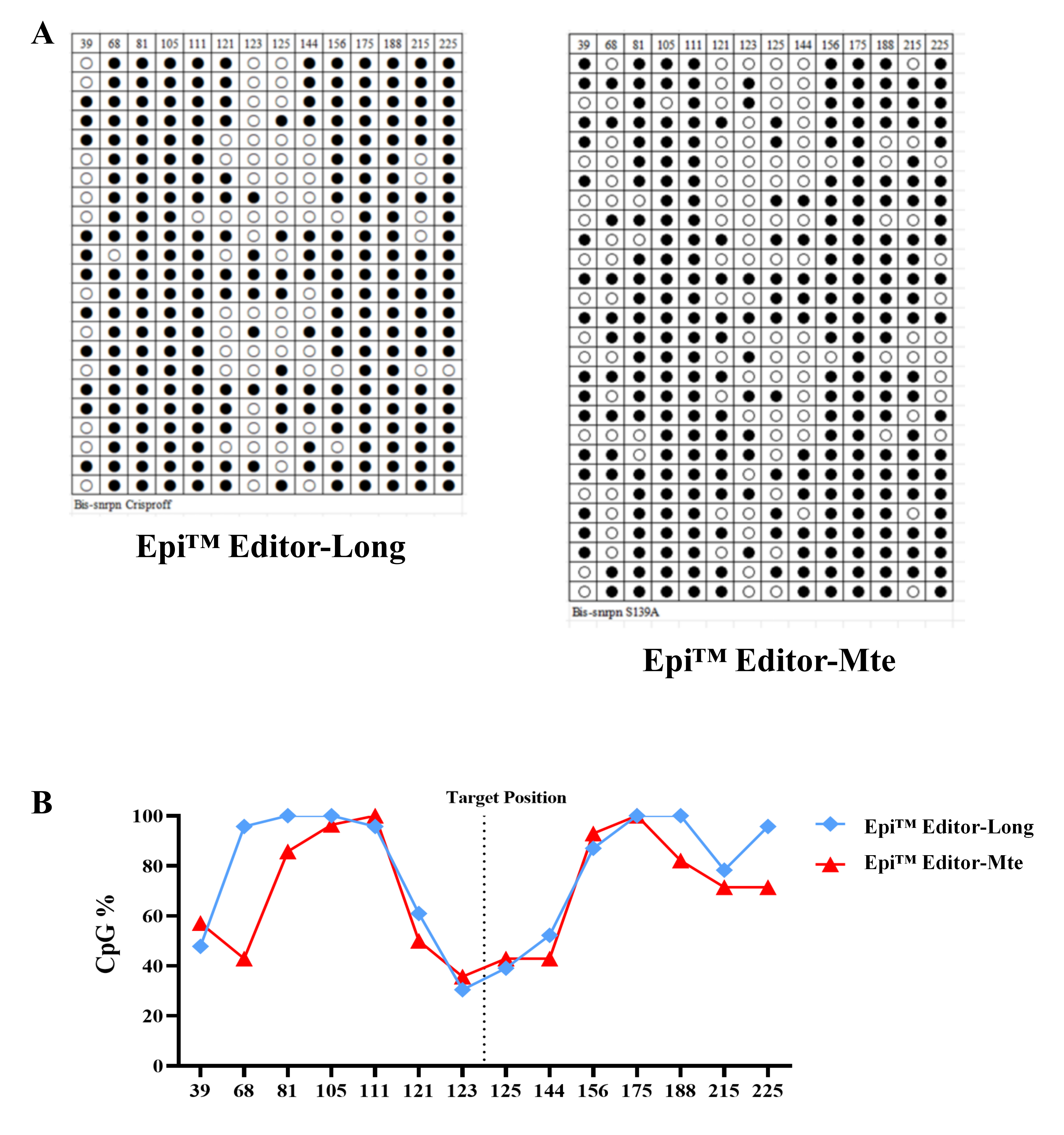 Epi™ Editor-Mte与Epi™ Editor-long在修饰范围上的区别：