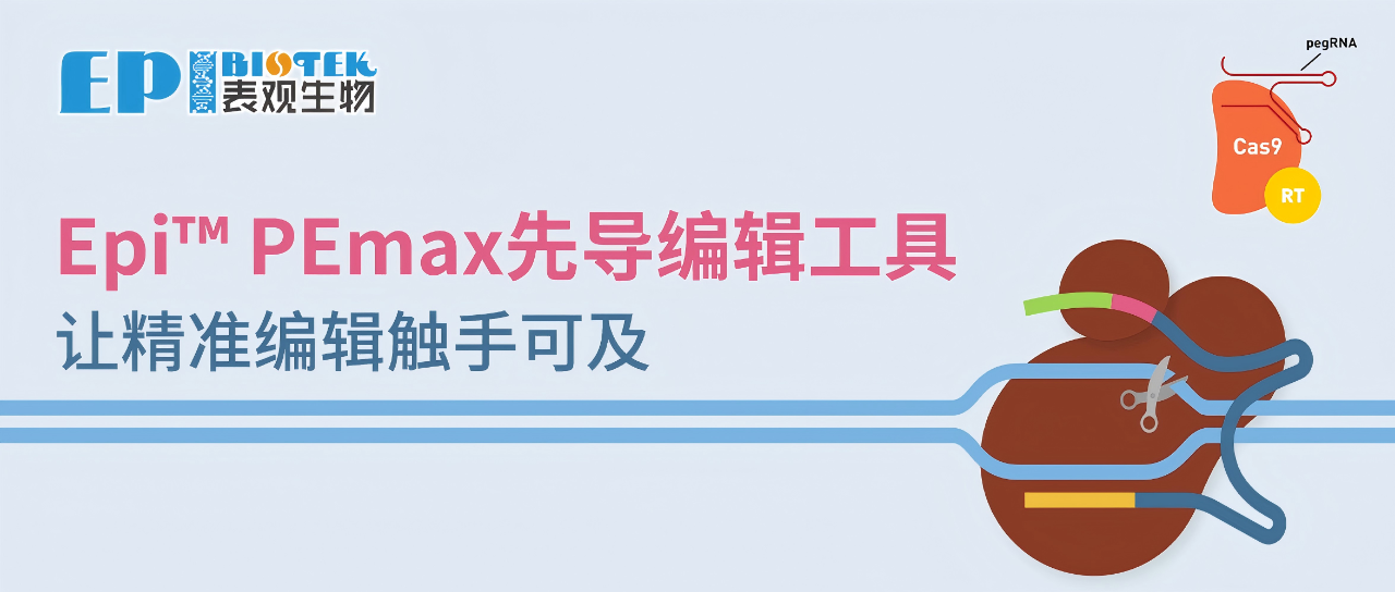 Epi™ PEmax先导编辑工具图
