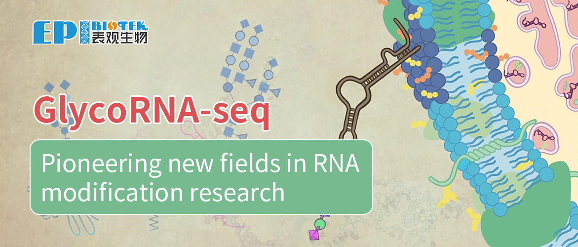 GlycoRNA-seq图