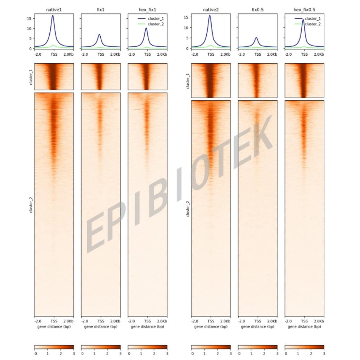Guangzhou EPIBIOTEK Co., Ltd.