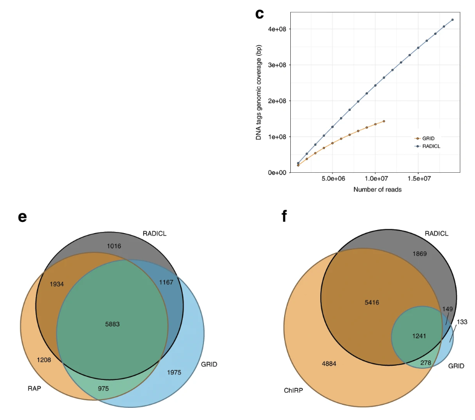 2. RADICL-seq has higher resolution, lower sample size, and higher capture rate.