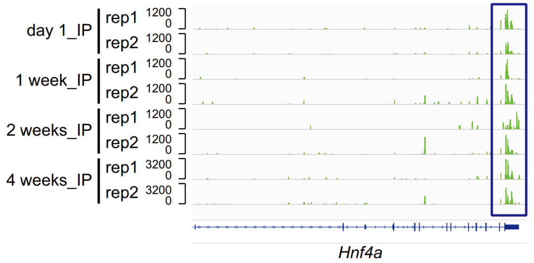 Guangzhou EPIBIOTEK Co., Ltd.