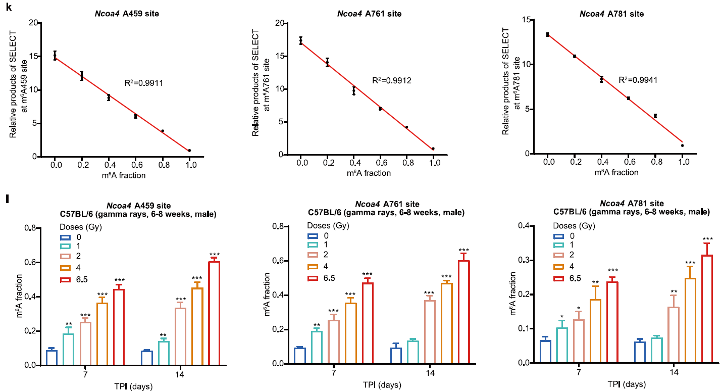 3. Nat Commun：基于RNA m6A修饰的吸收电离辐射剂量估算biomarker[4]
