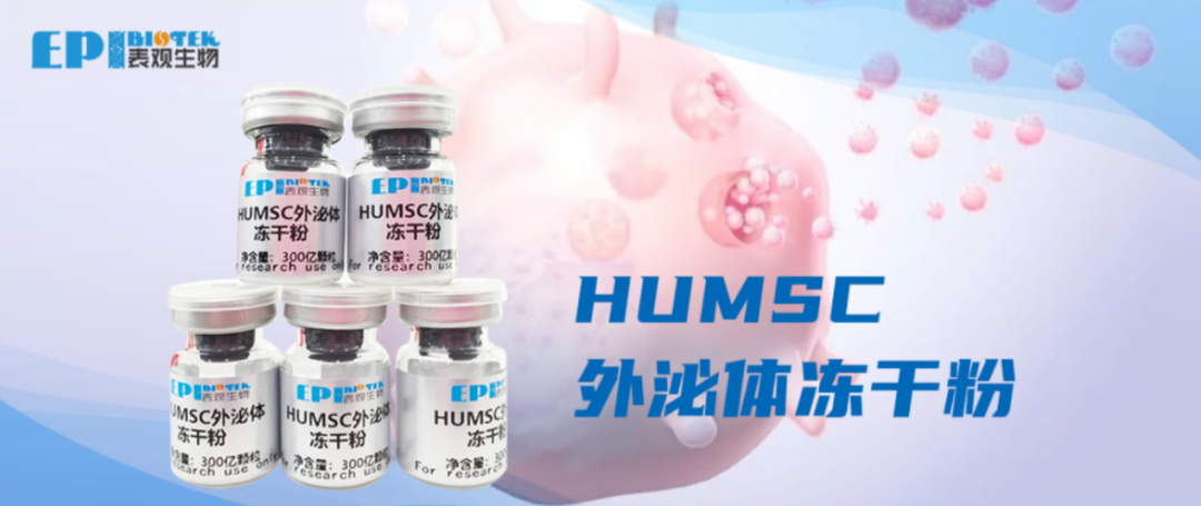  HUMSC外泌体冻干粉图