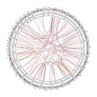 Guangzhou EPIBIOTEK Co., Ltd.