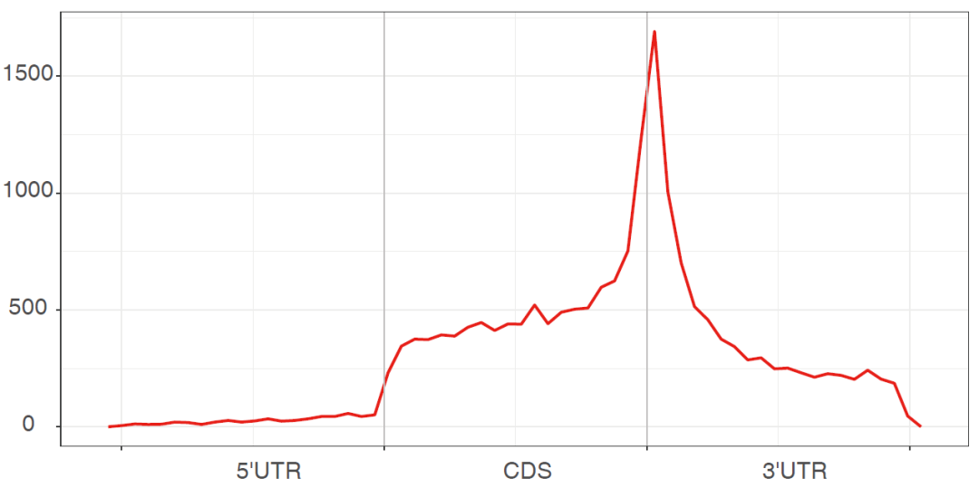 Guangzhou EPIBIOTEK Co., Ltd.