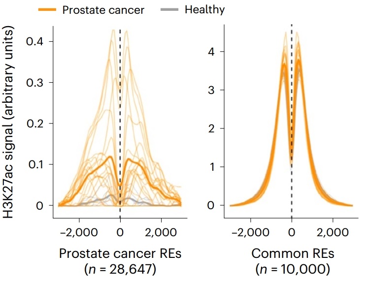 Guangzhou EPIBIOTEK Co., Ltd.