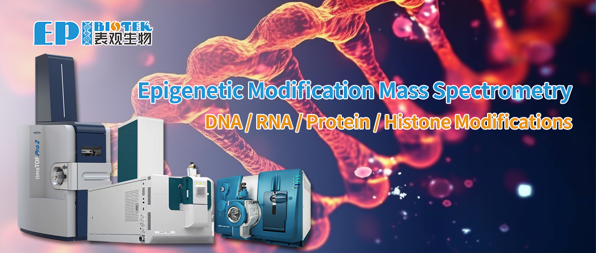 Epigenetic Modification Mass Spectrometry图