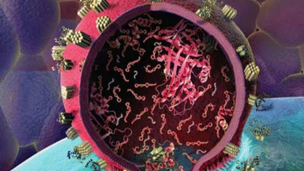 外泌体longRNA测序服务图