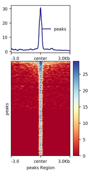 Guangzhou EPIBIOTEK Co., Ltd.