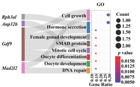 广州表观生物科技有限公司