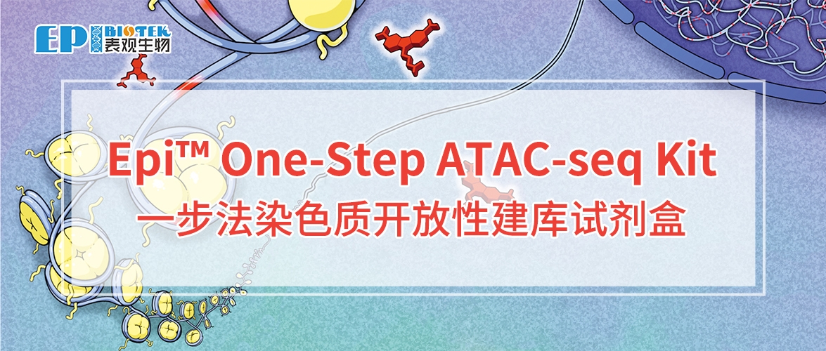 一步法染色质开放性建库试剂盒：Epi™ One-Step ATAC-seq Kit图