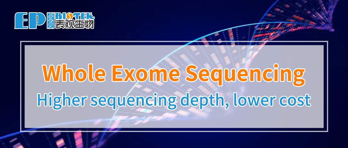 Whole Exome Sequencing图