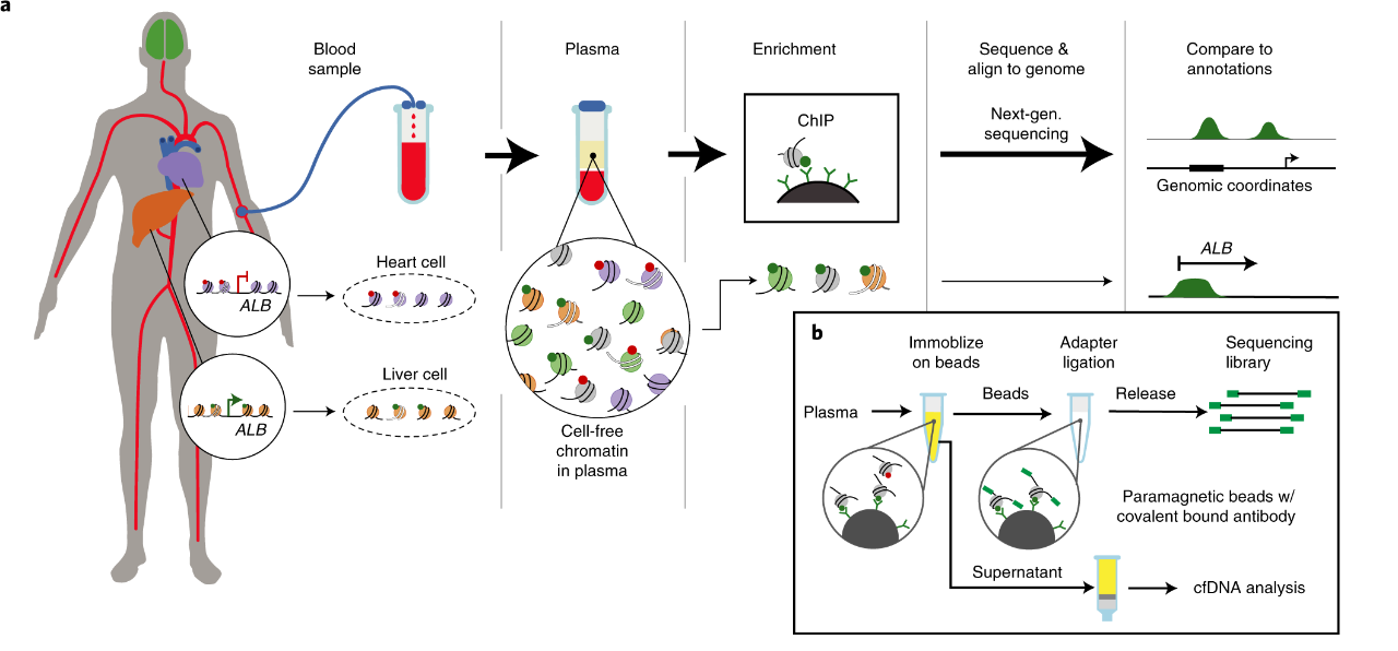 Guangzhou EPIBIOTEK Co., Ltd.