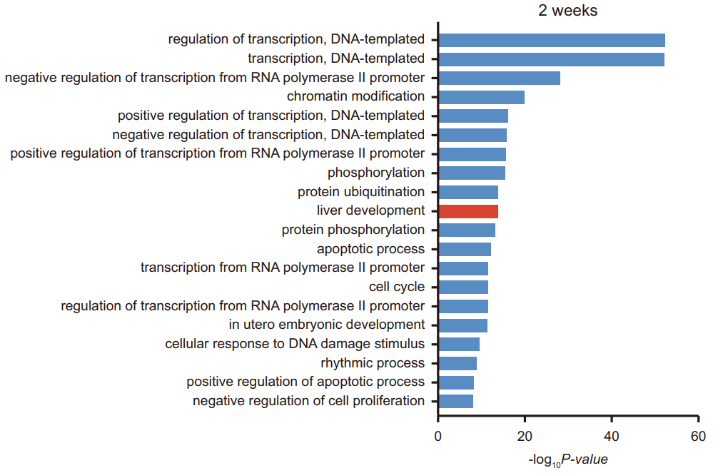 Guangzhou EPIBIOTEK Co., Ltd.