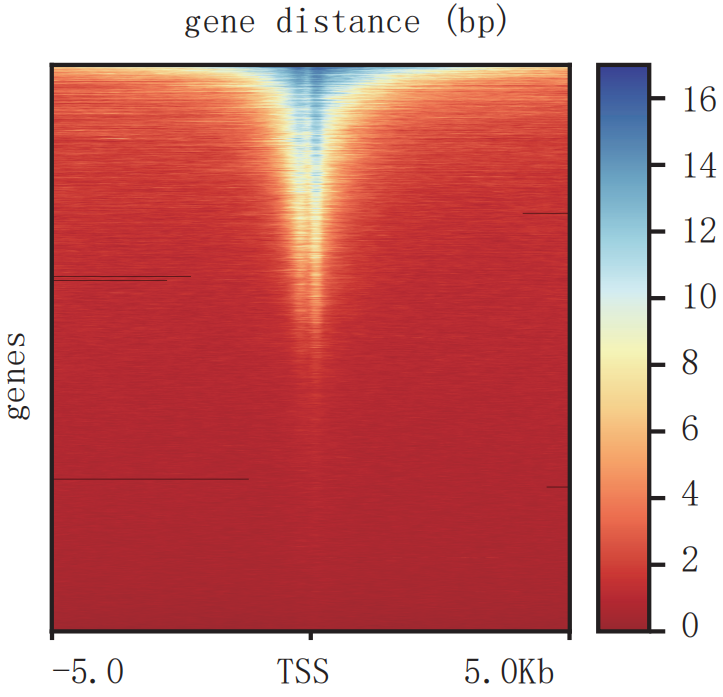 Guangzhou EPIBIOTEK Co., Ltd.
