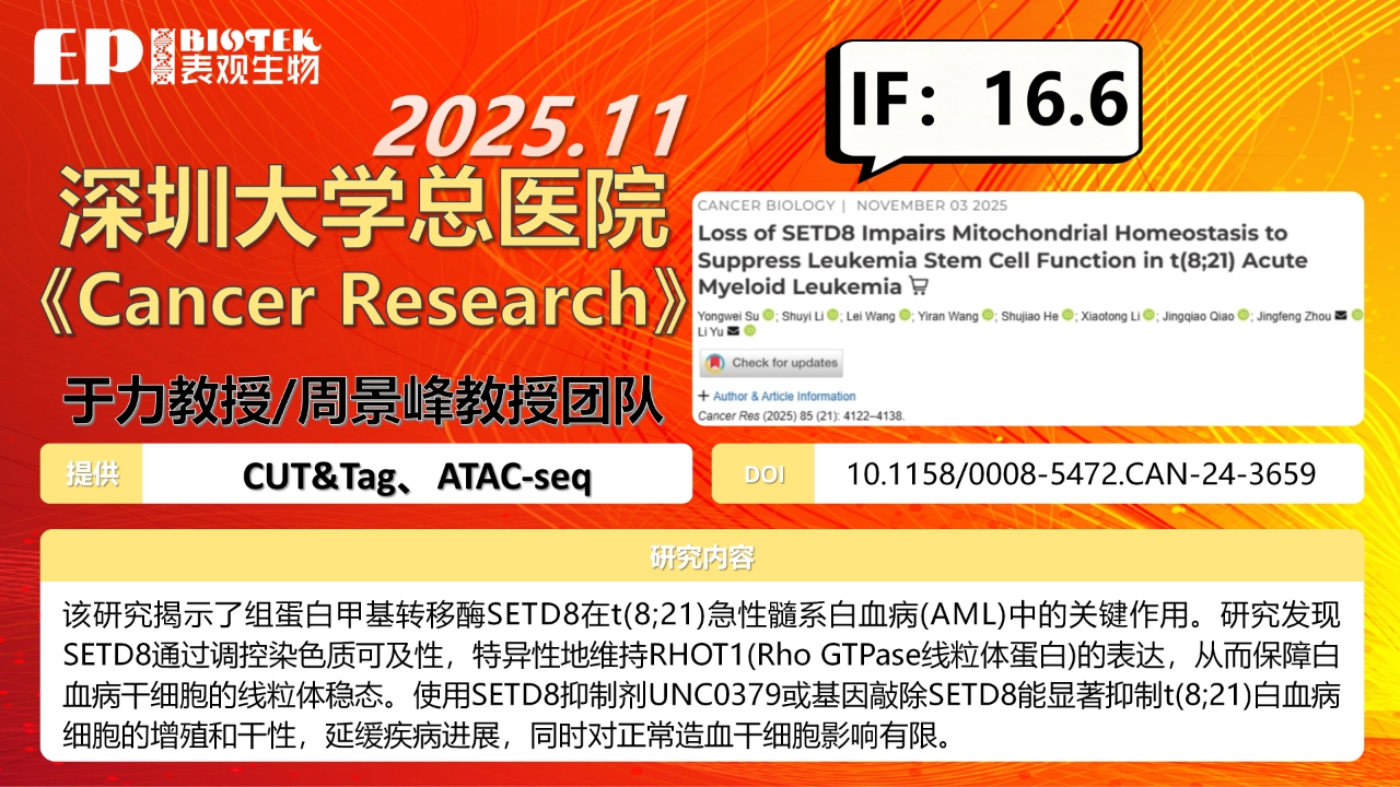 客户文章 | Cancer Res（IF 16.6）：SETD8通过调控线粒体稳态维持t(8;21)急性髓系白血病干细胞功能图