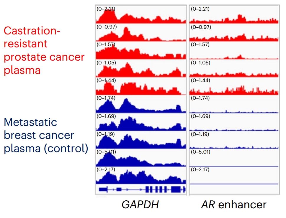 Guangzhou EPIBIOTEK Co., Ltd.