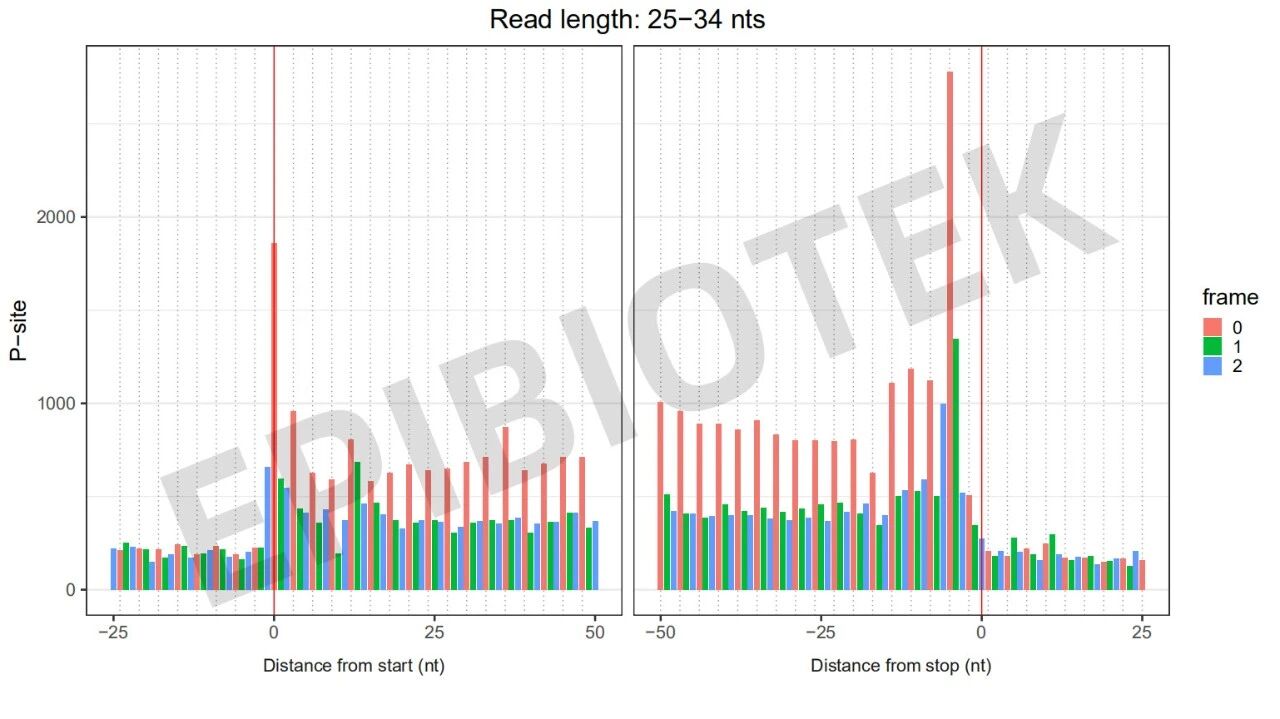 Guangzhou EPIBIOTEK Co., Ltd.