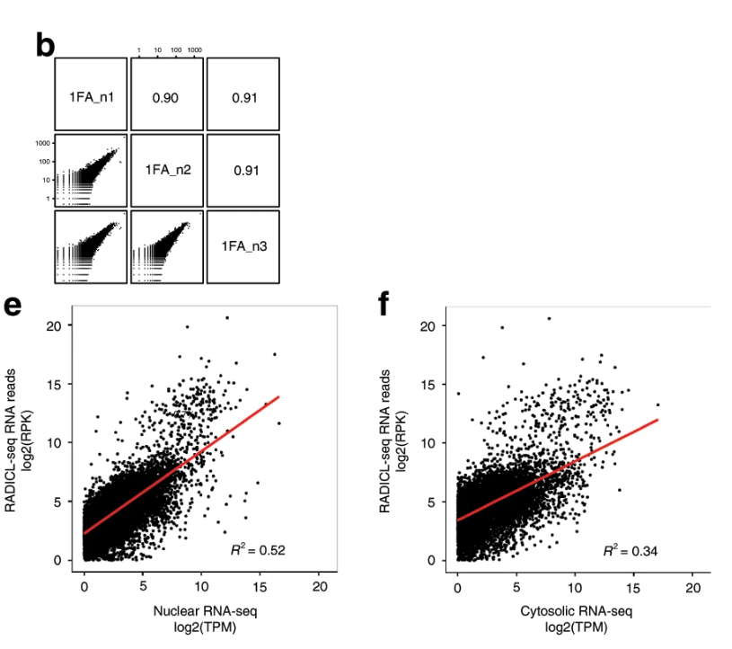 1. Identify RNA-DNA interactions in the nucleus and capture more nuclear information.