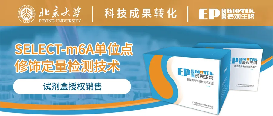 SELETC-m6A单位点修饰定量检测技术试剂盒和技术服务图