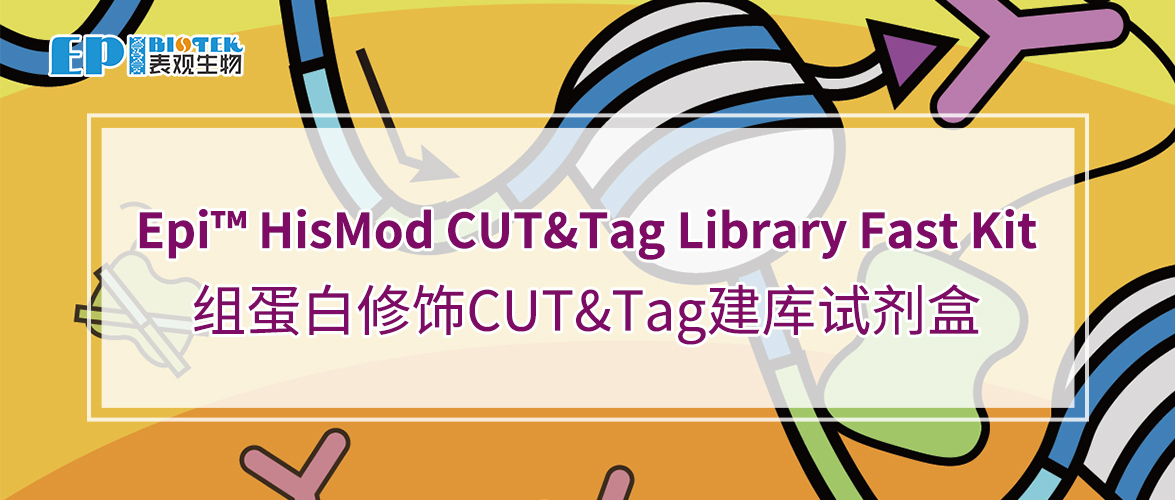 组蛋白修饰CUT&Tag建库试剂盒：Epi™ HisMod CUT&Tag Library Fast Kit图