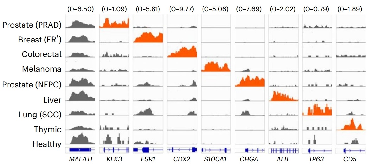 Guangzhou EPIBIOTEK Co., Ltd.