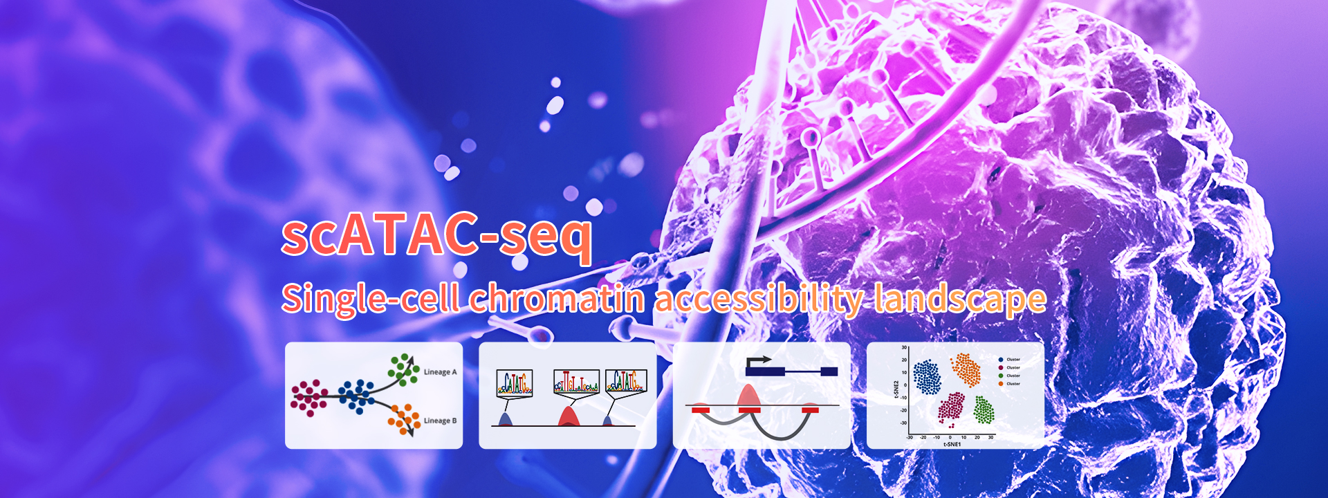 Guangzhou EPIBIOTEK Co., Ltd.-834-6轮播图