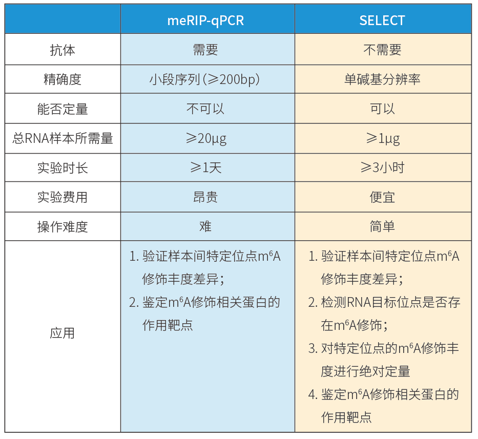 Technical Comparison