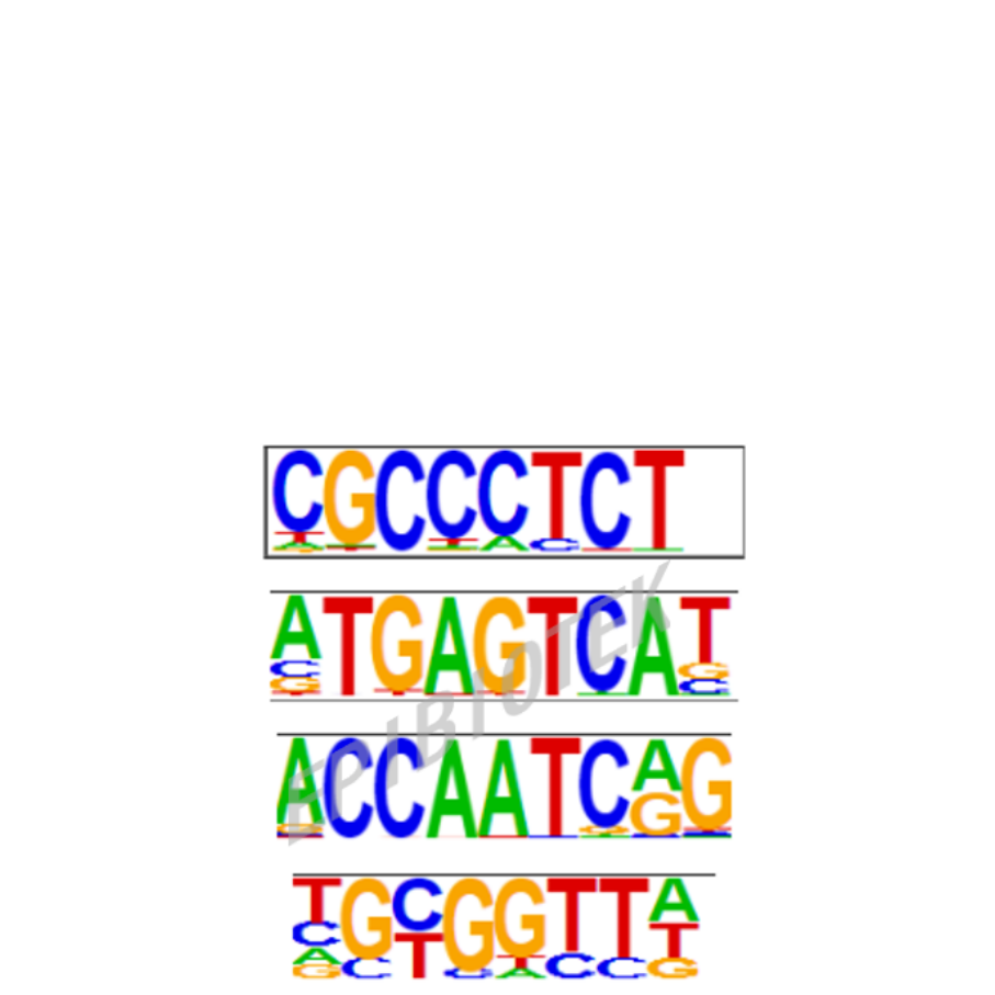 Guangzhou EPIBIOTEK Co., Ltd.