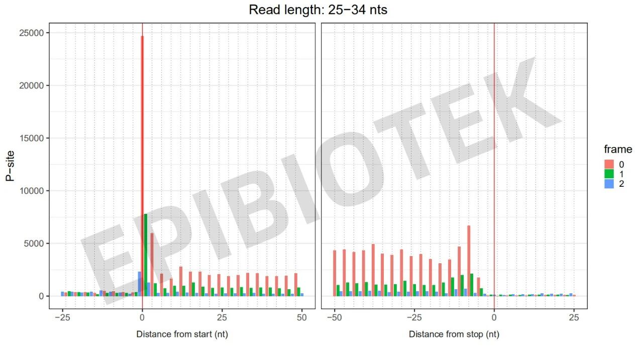 Guangzhou EPIBIOTEK Co., Ltd.