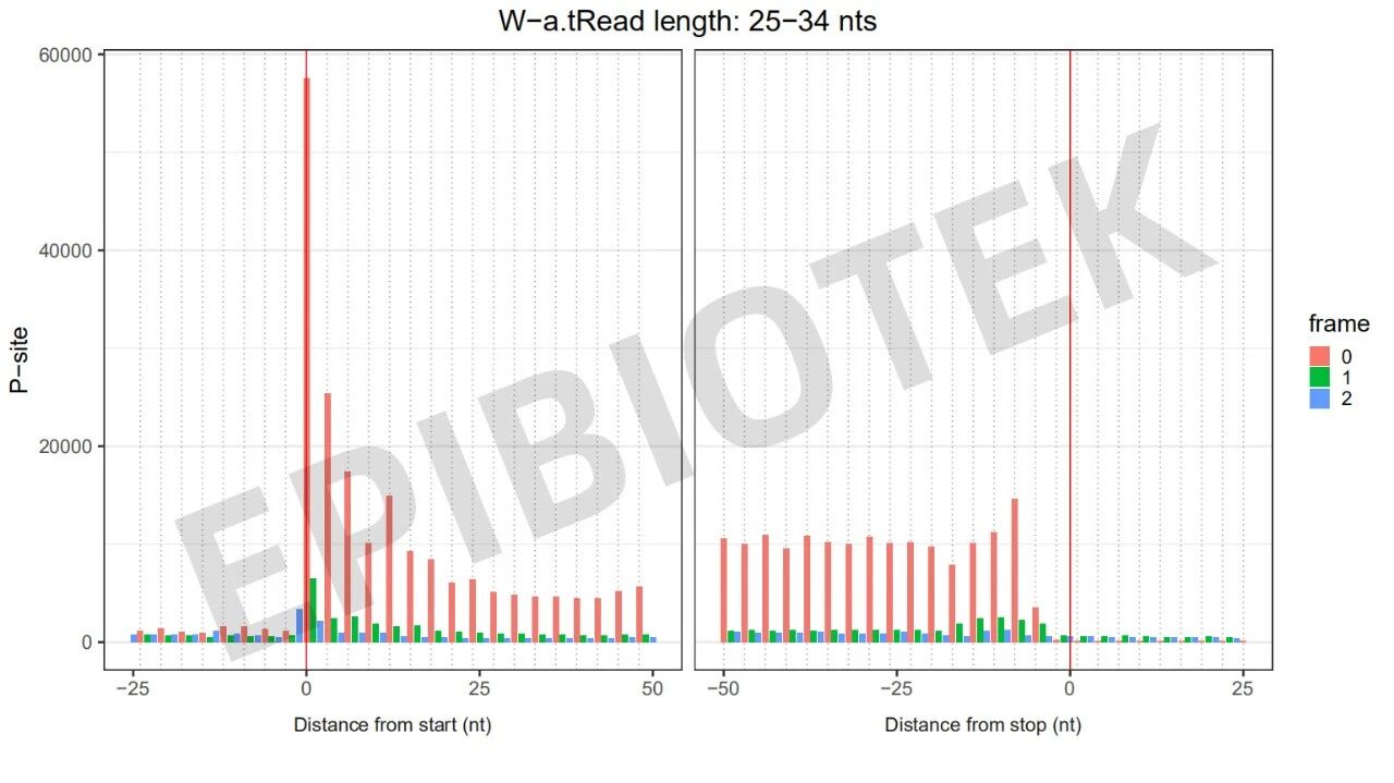 Guangzhou EPIBIOTEK Co., Ltd.