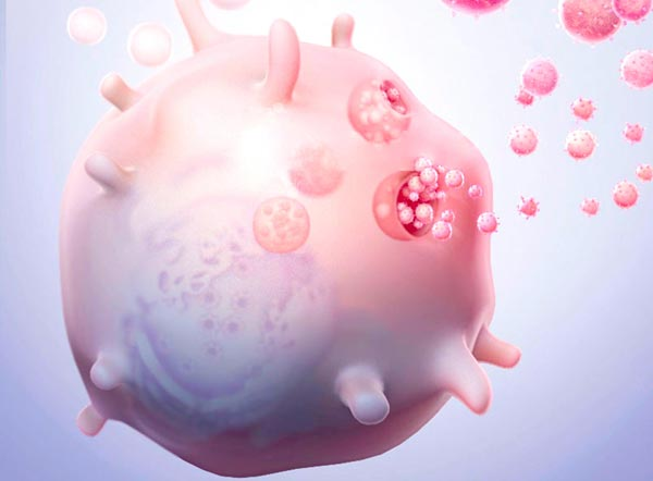 外泌体small RNA测序服务图