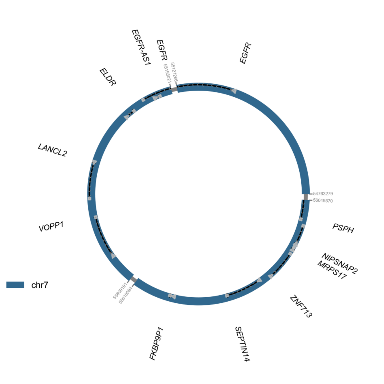 Guangzhou EPIBIOTEK Co., Ltd.
