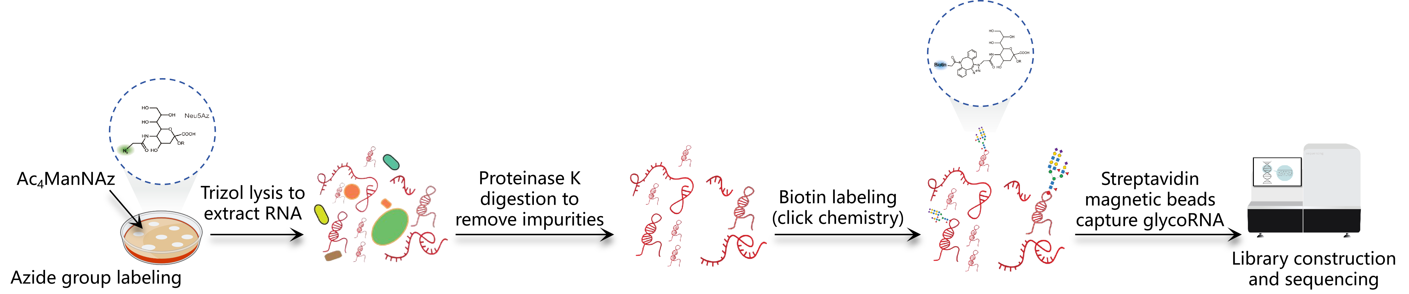 Technical Principles