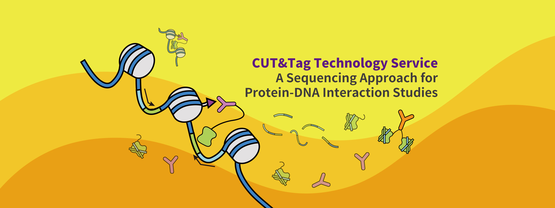 Guangzhou EPIBIOTEK Co., Ltd.-834-8轮播图