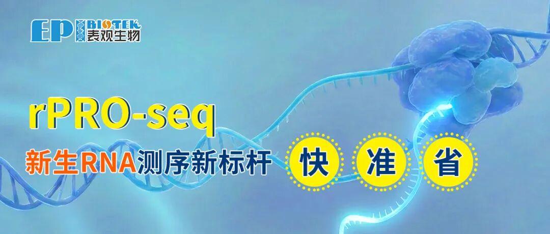 rPRO-seq全新首发，新生RNA测序新标杆！流程加速，更低样本量图